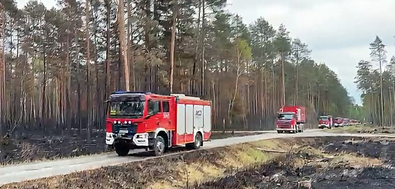Misja zakończona. Małopolscy strażacy wyjechali z Puszczy Solskiej