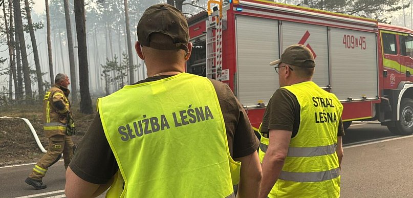 Sódmy dzień walki w Puszczy Solskiej. Strażacy dogaszają pogorzelisko