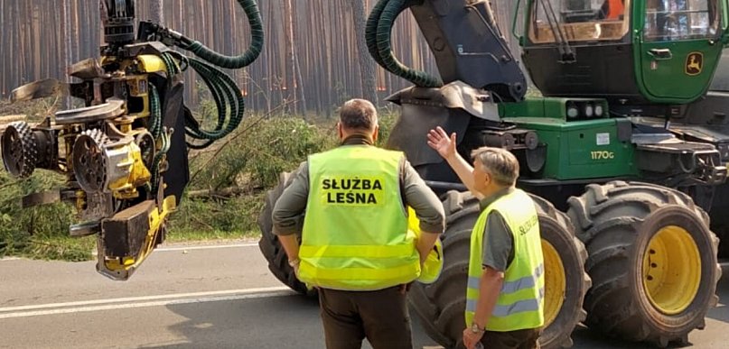 Krajobraz po katastrofie. Lasy Państwowe ratują Puszczę Solską