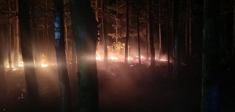 Nocna walka z ogniem w Księżpolu. Las znów stanął w płomieniach