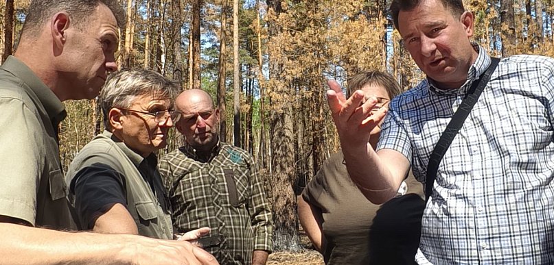 Co dalej z Puszczą Solską? Debata naukowców i leśników po katastrofie