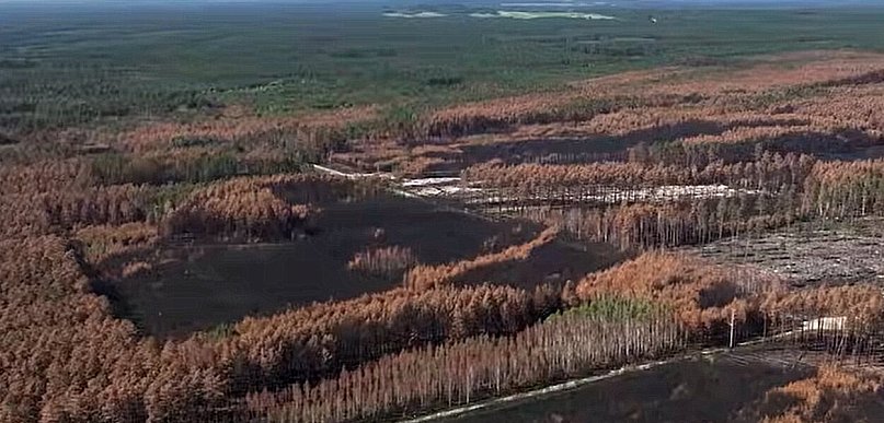 Ponad 1000 ha spalonego lasu. Co dalej z Puszczą Solską? (VIDEO)