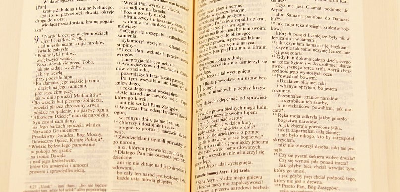Nie bójcie się – jesteście cenni w oczach Boga - komentarz do Ewnagelii