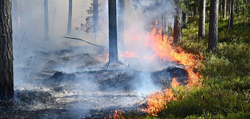 Susza. Strażacy i gminy apelują o rozsądek