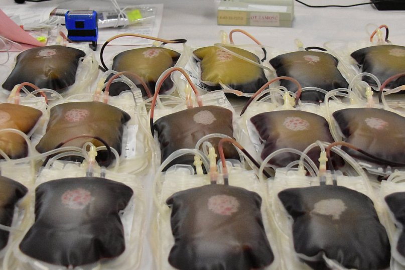 Zbiórka krwi w Majdanie Starym – jubileuszowa 35. akcja ratowania życia