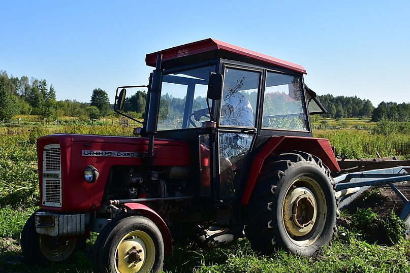 Kartoflaki w Dereźni: Tradycja, zabawa i integracja pokoleń