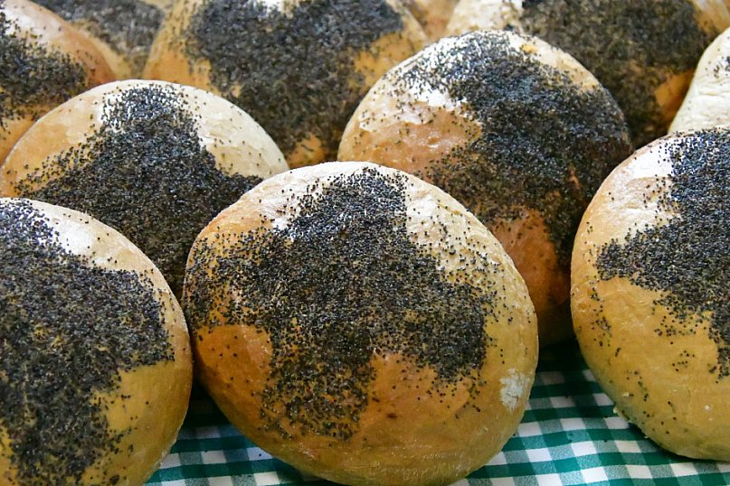 Dzień Chleba w Biłgoraju: PCK integruje i wspiera samotnych