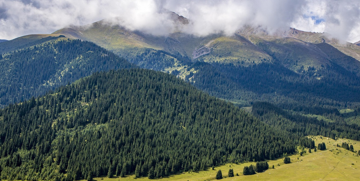 Hotel w Prudniku – komfort i wypoczynek w Białej Akacji