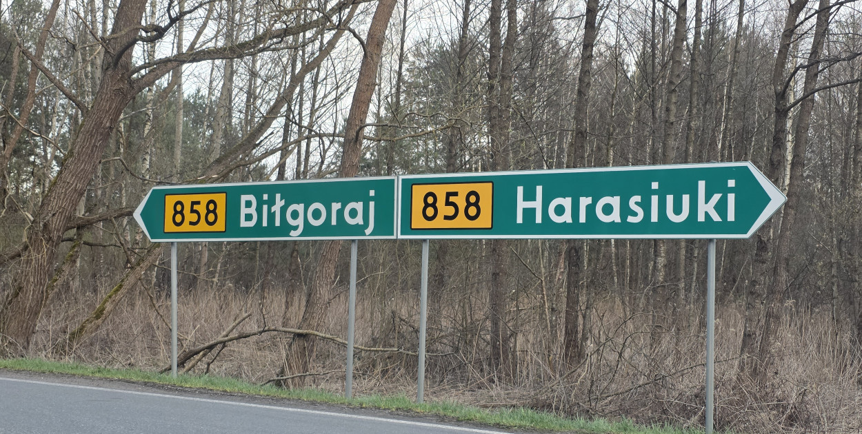 Co dalej z remontem W858? Jest apel do marszałka województwa lubelskiego 
