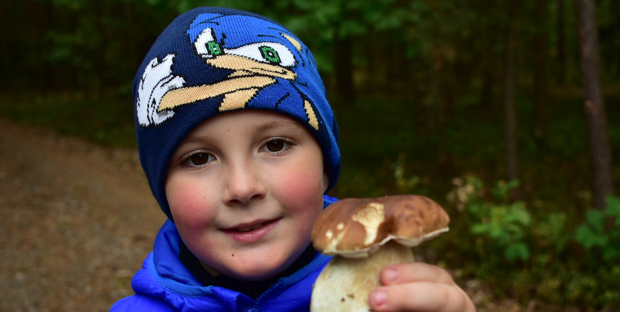 Grzybobranie w Korczowie