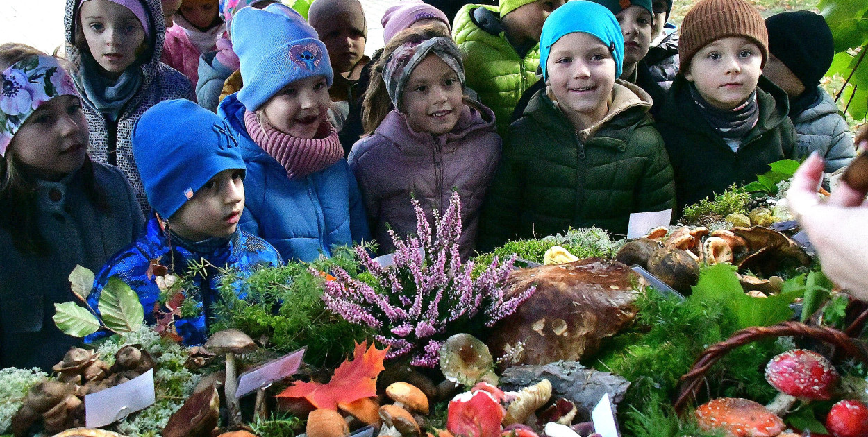 Jadalne czy trujące? PSSE Biłgoraj ostrzega i edukuje w sprawie grzybów