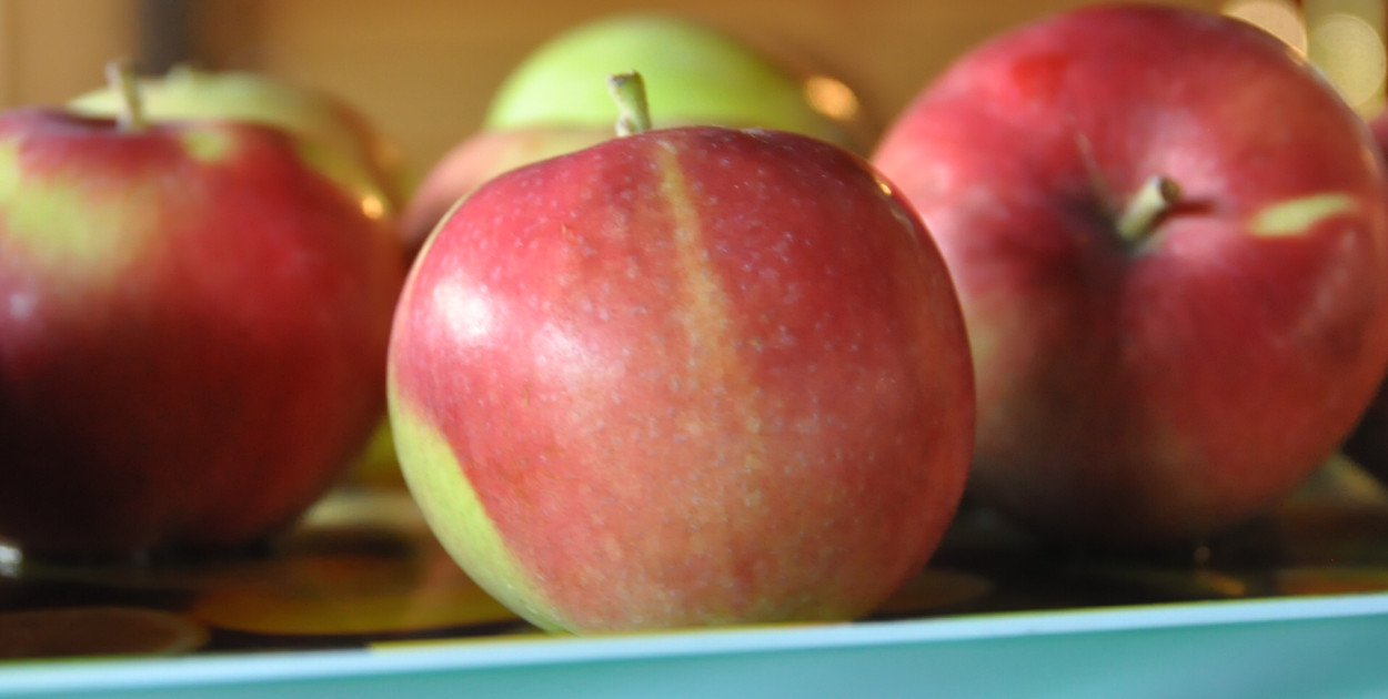 Józefów. Pomoc żywnościowa (FOTO: Archiwum)