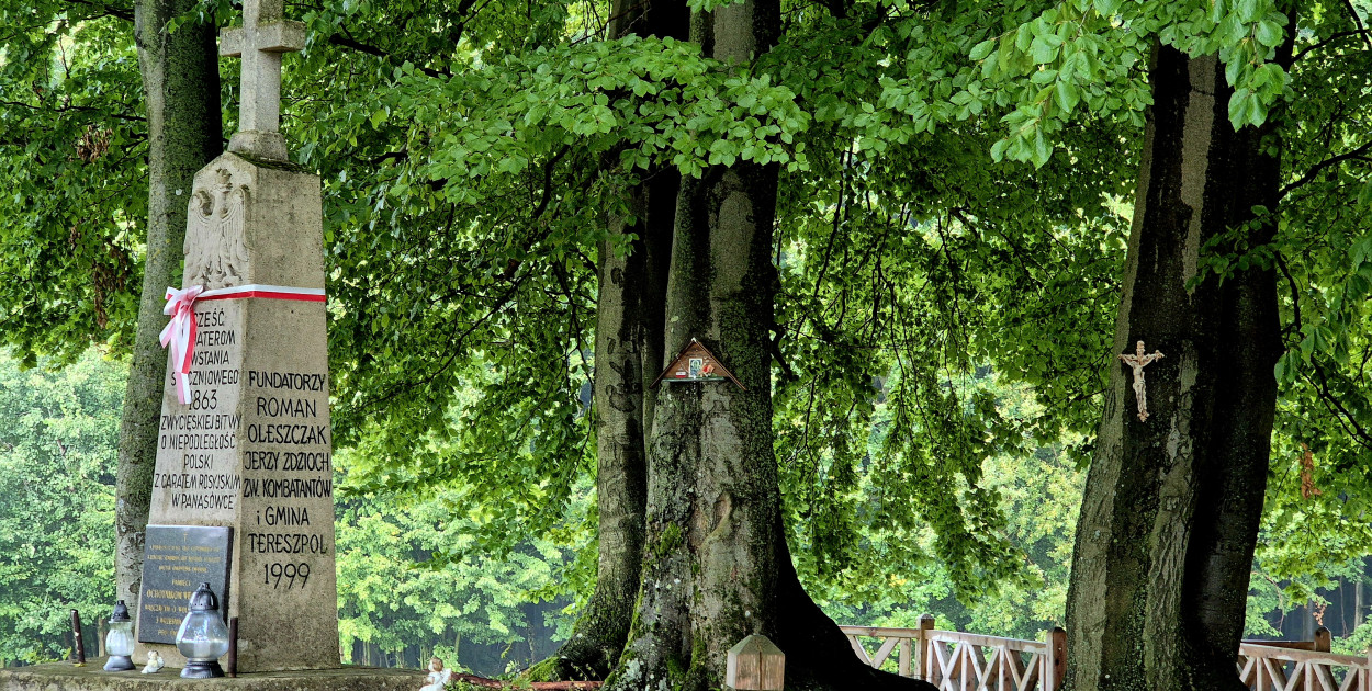 Narodowe świętowanie z LGD Silne Biłgorajskie