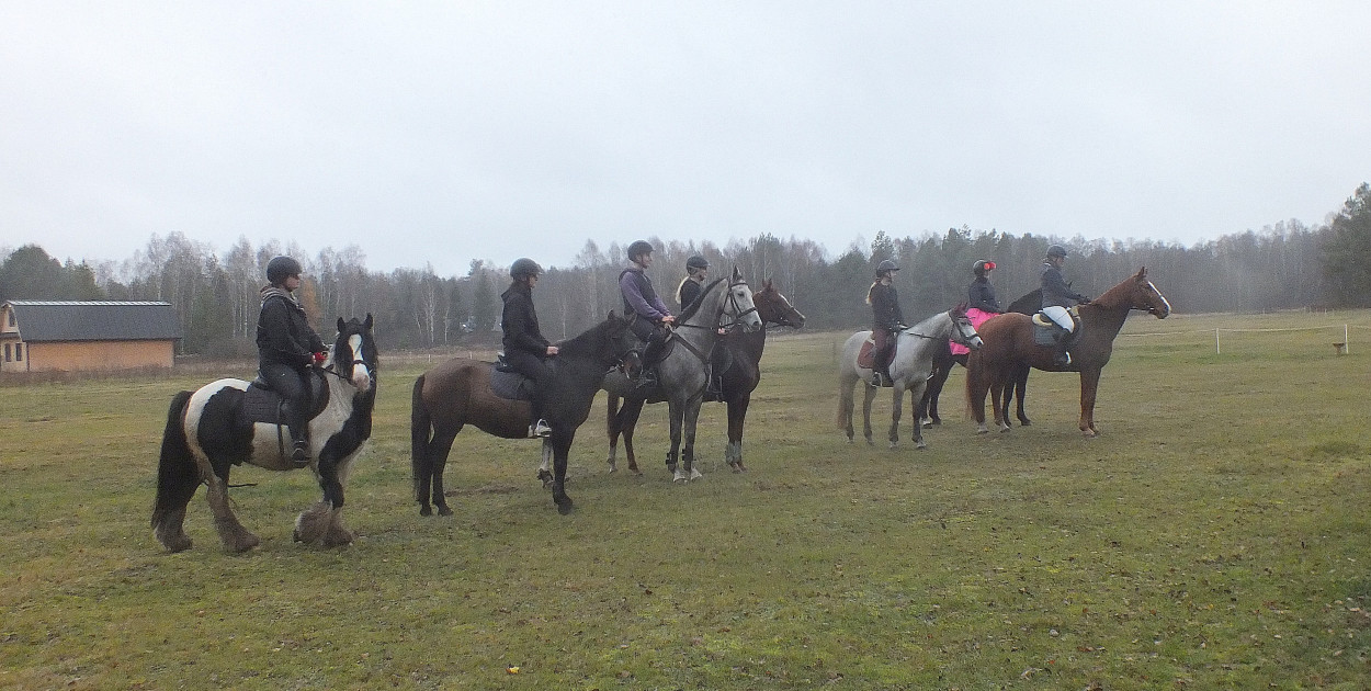 Budziarze gościły miłośników koni: Pełen emocji Hubertus w Stajni u Rudej