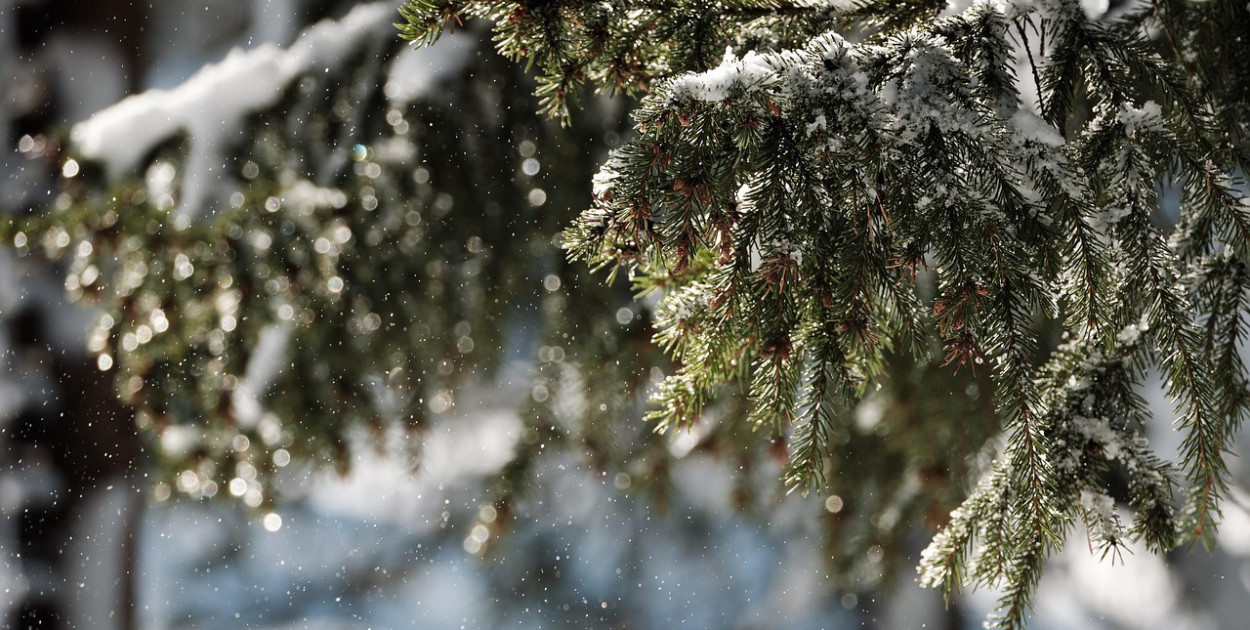 Ostrzeżenie pierwszego stopnia dla Biłgoraja i okolic