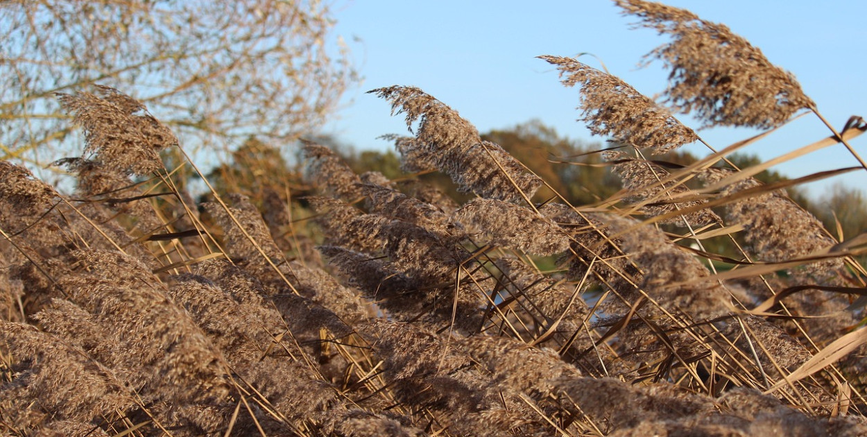 Ostrzeżenie pierwszego stopnia dla Biłgoraja i dla okolic