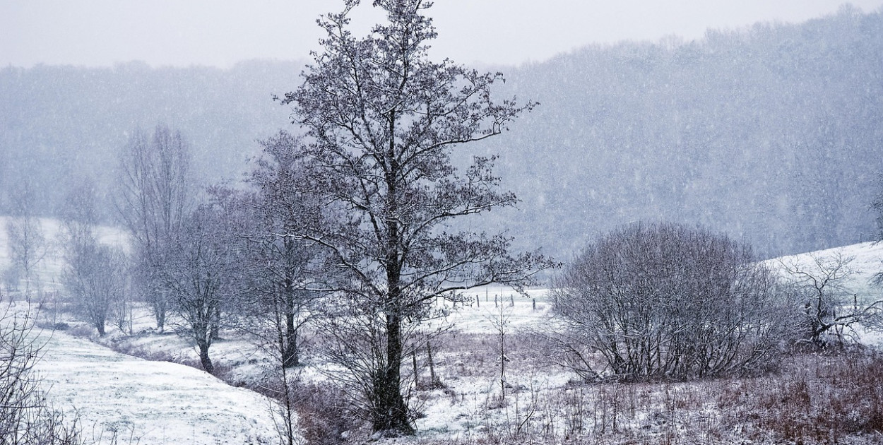 Ostrzeżenie pierwszego stopnia dla Biłgoraja i dla okolic (FOTO: pixabay.com/)