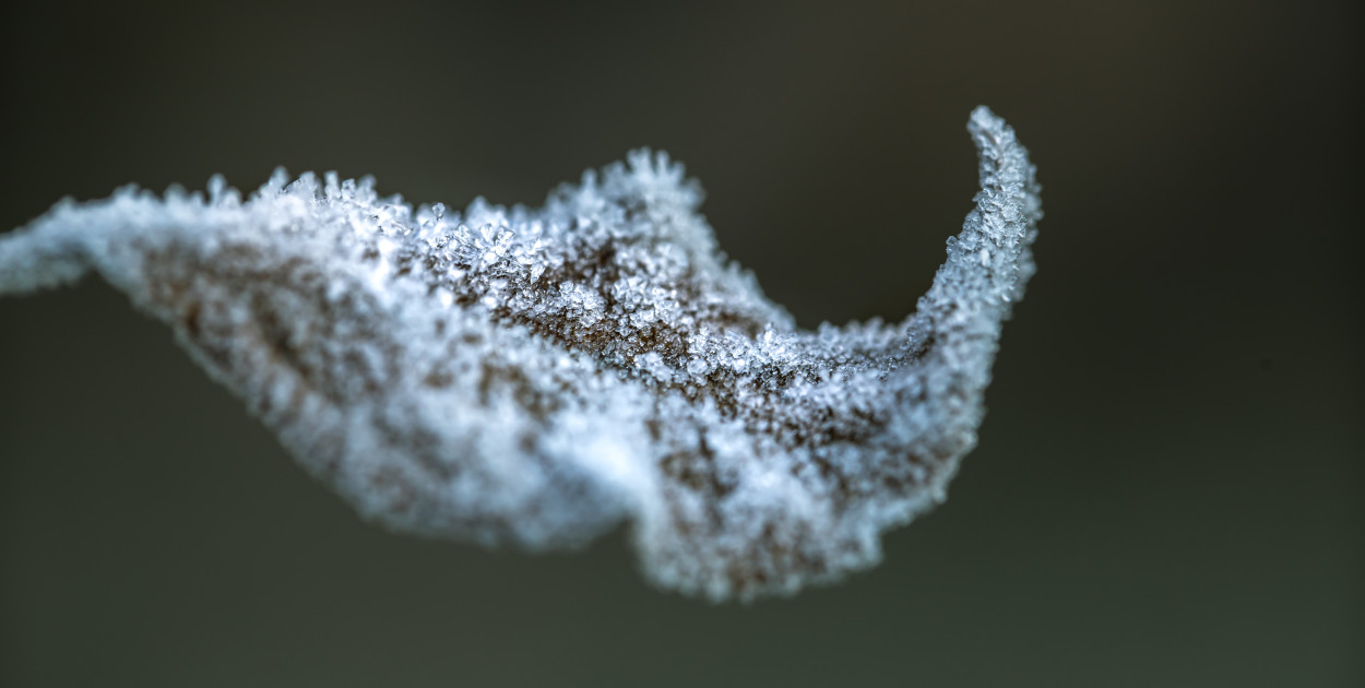 Ostrzeżenie pierwszego stopnia dla Biłgoraja i dla okolic (Foto: https://pl.freepik.com)