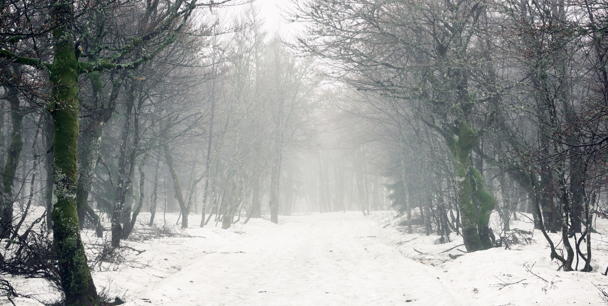 Ostrzeżenie. Uwaga na mgły