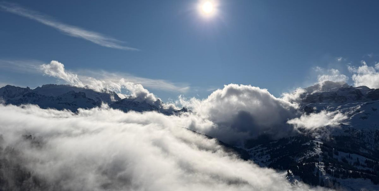 Wolontariuszka Helena