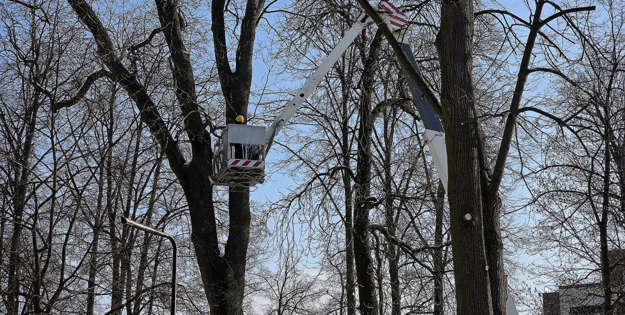 Trwa rewitalizacja Skweru Saskiego (FOTO)