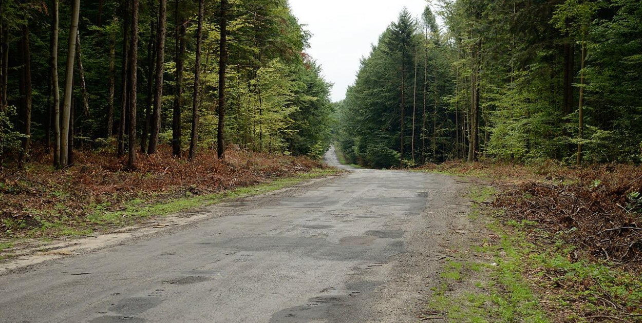 Inwestycyjny rok 2026: Gmina Biłgoraj buduje drogi za ponad 5 mln zł