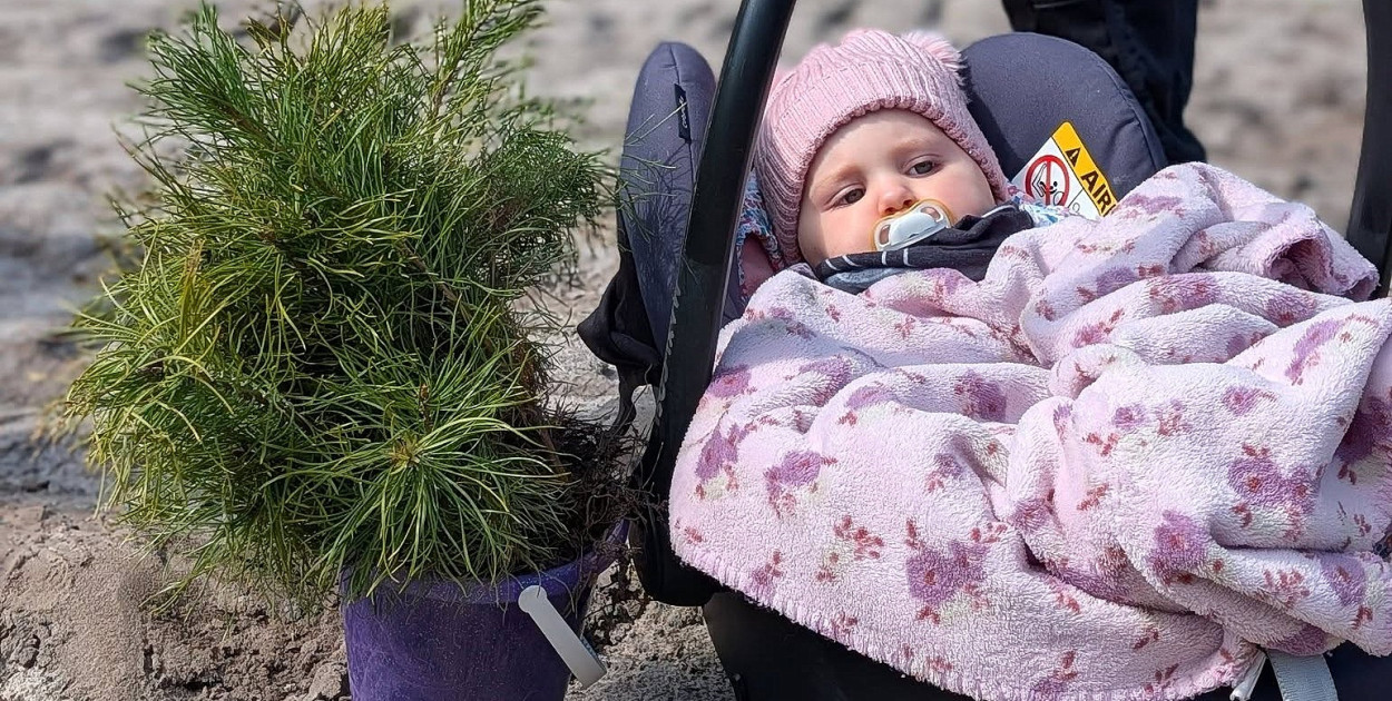 Wielkie sadzenie drzew w Biłgoraju na Międzynarodowy Dzień Lasów