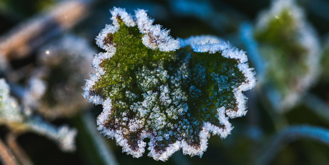 Ostrzeżenie pierwszego stopnia dla Biłgoraja i okolic