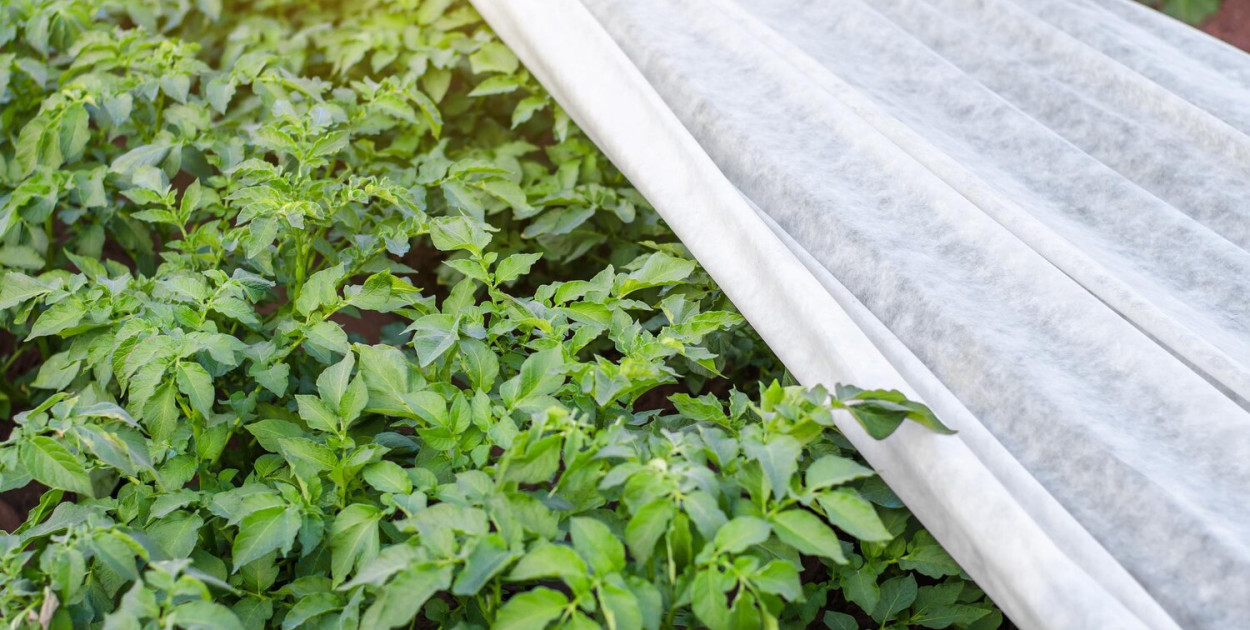 Jaką gramaturę agrotkaniny wybrać? Przewodnik dla ogrodnika