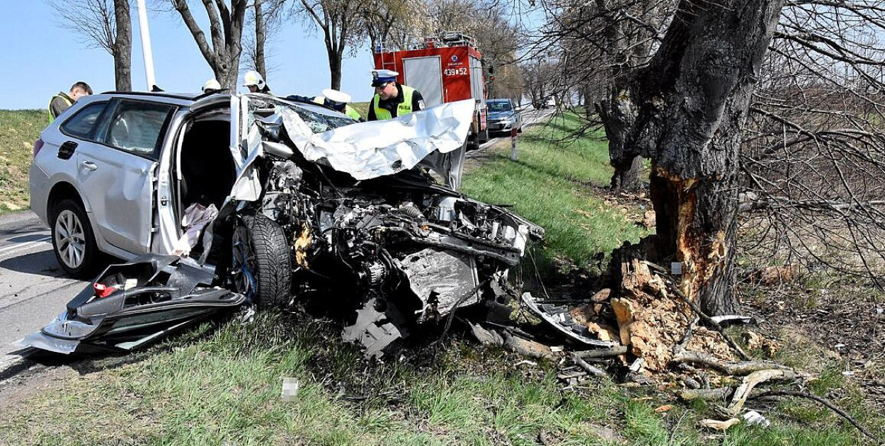 Skoda uderzyła w przydrożne drzewo. 50-latek z powiatu biłgorajskiego w szpitalu