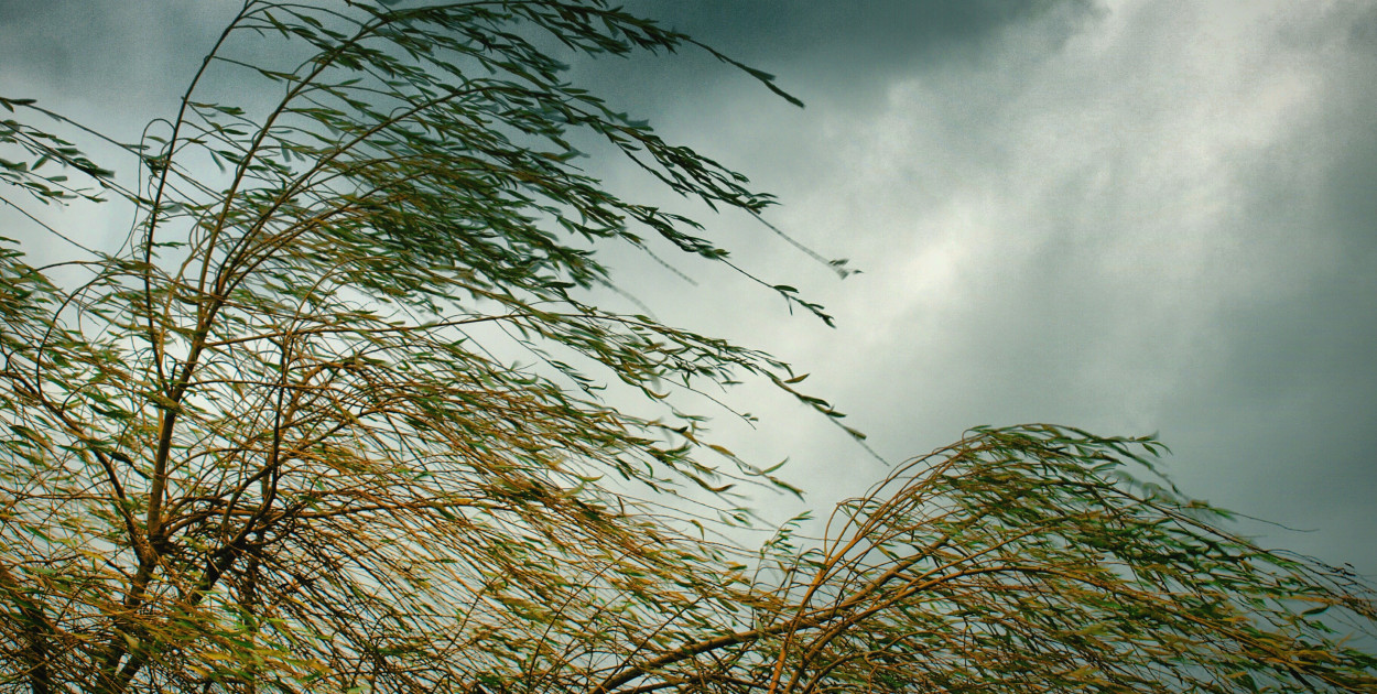 Ostrzeżenie pierwszego stopnia dla Biłgoraja i okolic