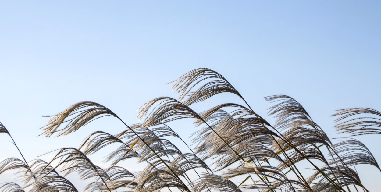 Ostrzeżenie pierwszego stopnia dla Biłgoraja i dla okolic