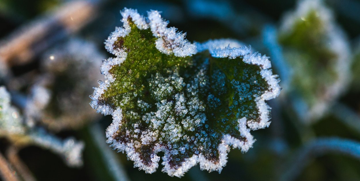 Ostrzeżenie pierwszego stopnia dla Biłgoraja i okolic