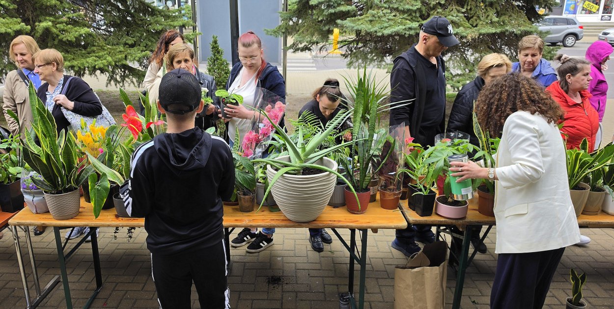 Biłgorajskie serca w rozkwicie! Kiermasz dla Adasia przedłużony o kolejny dzień