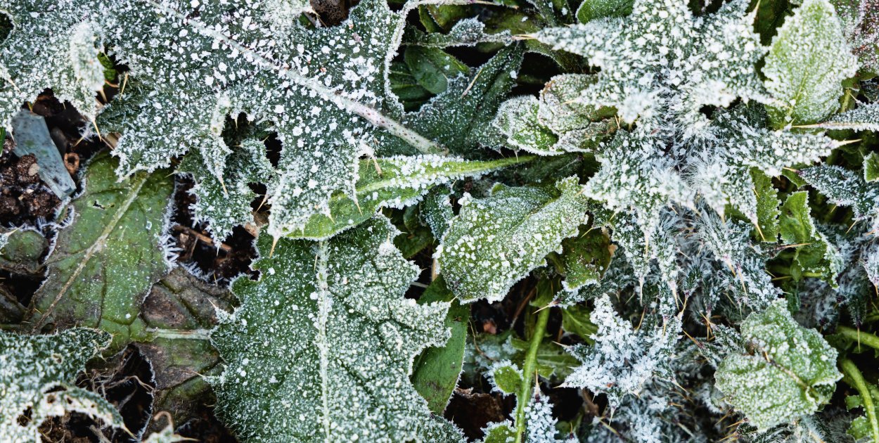 Ostrzeżenie pierwszego stopnia dla Biłgoraja i okolic
